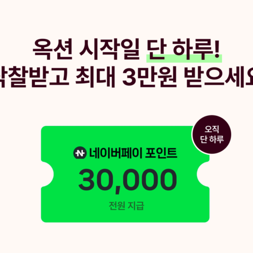 옥션 참여하고 네이버페이 최대 3만 포인트 받으세요 (11월 20일 단 하루!)