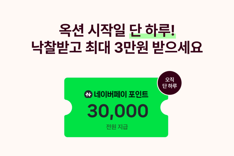 옥션 참여하고 네이버페이 최대 3만 포인트 받으세요 (11월 20일 단 하루!)